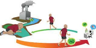 DETERMINANTES ECONÓMICOS, SOCIALES Y POLÍTICOS.