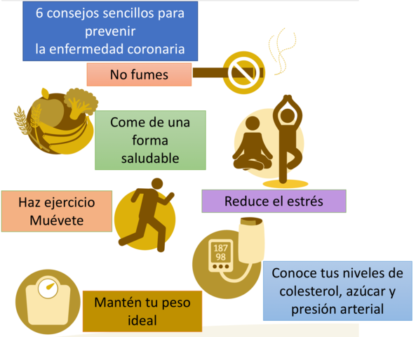 PREVENCIÓN DE LA ENFERMEDAD