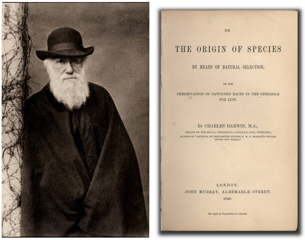 Origen de les espècies (llibre) Darwin