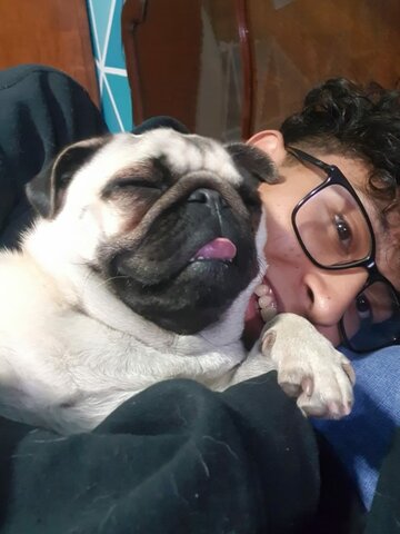 llego alguien especial