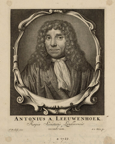 Antoni Van Leeuwenhoek