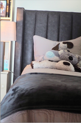 Kids Bedroom (posted 11/8)