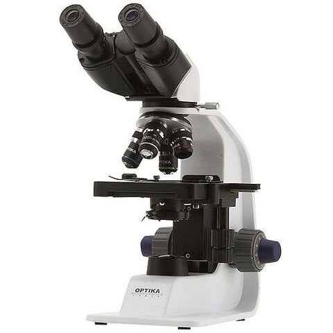 Microscope binoculaire
