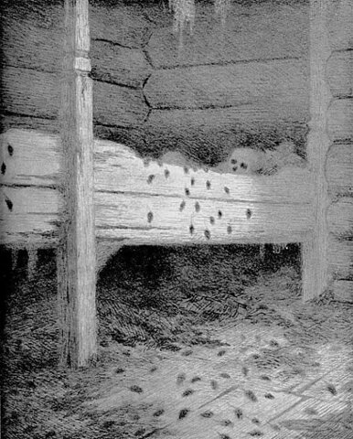 Storhetstiden avslutter