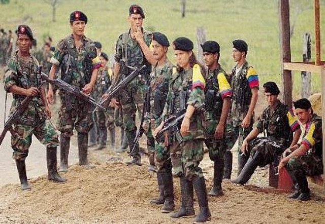 Las FARC en este ano