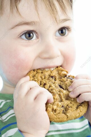 Uses Words to Answer Questions- Pragmatics