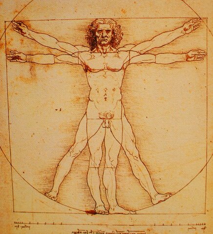 The Vitruvian Man.