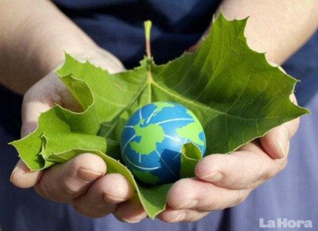 "CUMBRE PARA LA TIERRA"