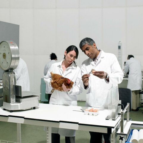 Repercusión de los avances científicos y tegnológicos