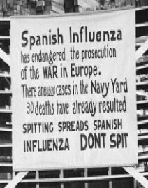 The Spanish Flu