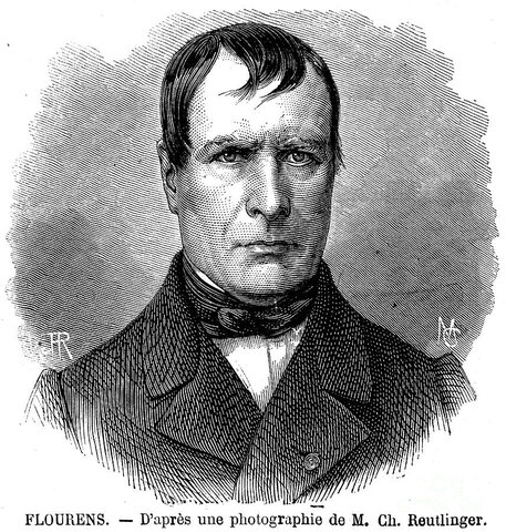 Teoría antilocalizacionista o del campo agregado