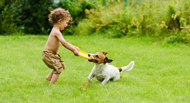 Mini Sentences - Syntax and Morphology