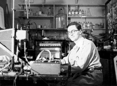 Louis Nico Marie Duysens