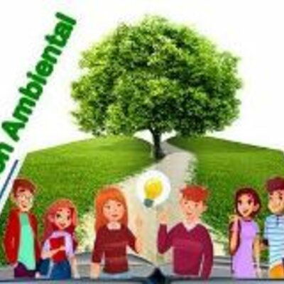 Timeline: Educación ambiental en el Currículo Escolar