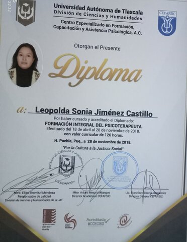 Diplomado Formación Integral del Psicoterapeuta.
