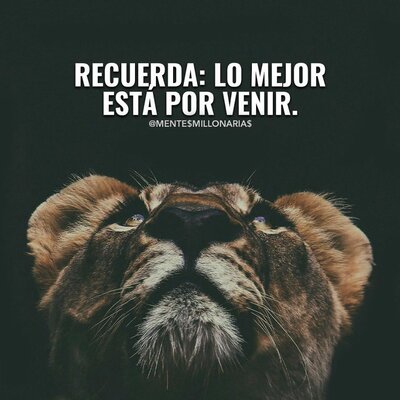 Timeline: Logros y Fracasos