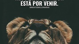 Timeline: Logros y Fracasos