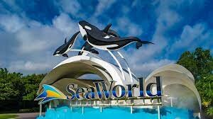Sea World.