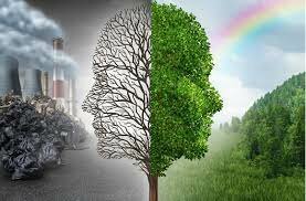 La disciplina científica de la Salud Pública