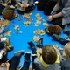 Pedagogia activa