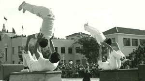 Ley sobre Formación Profesional