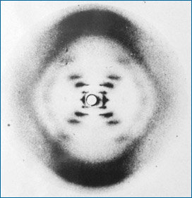 Rosalind Franklin Experiment