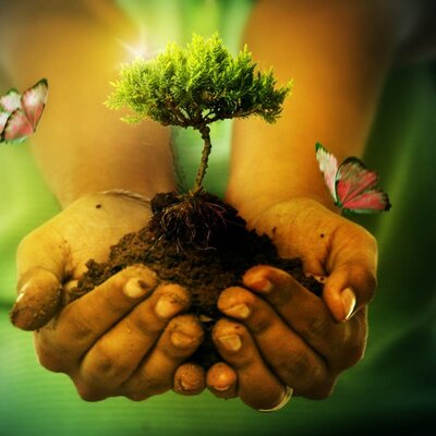 Timeline: experiencia profesional de vida