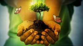 Timeline: experiencia profesional de vida