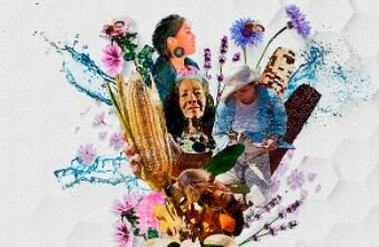 Días conmemorativos ambientales