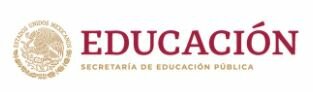 Educación ambiental en todos los niveles de enseñanza