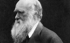 The theory of evolution