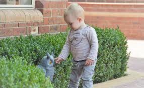 Understanding Simple Sentences - Phonology