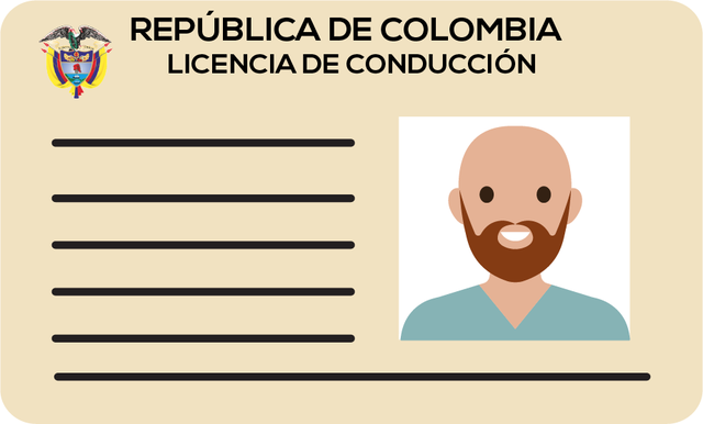 Mi licencia de conduccion