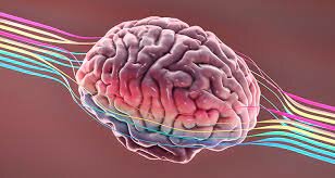 Neuropsicología  Cognitiva