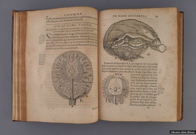 Le Monde / Traité du monde et de la lumière