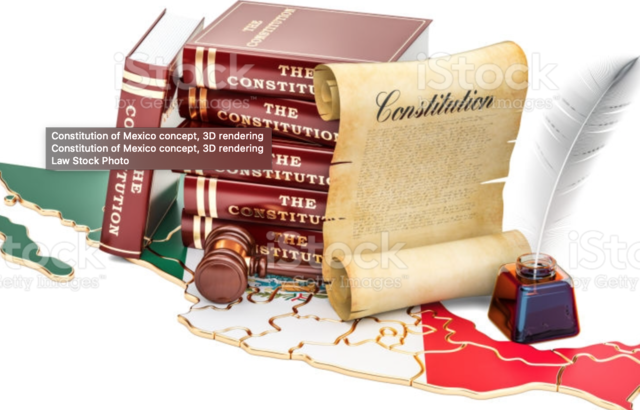 2007 - Modificación de la constitución para incluir al DAI