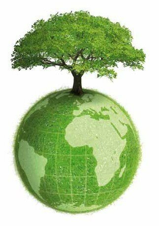 Elementos Estratégicos para el Desarrollo de la Educación Ambiental en México