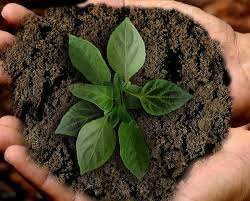 Seminario sobre Modelos de Utilización de Recursos Naturales, Medio Ambiente y Estrategias de Desarrollo