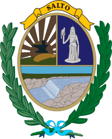 Escudo de Salto