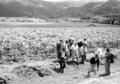 Se implementa plan agrícola de emergencia