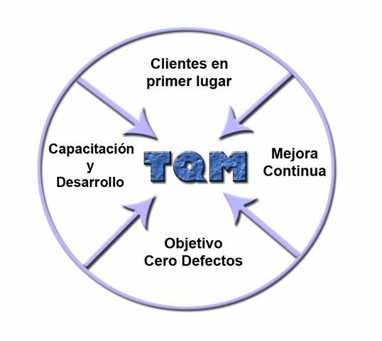 Críticas del TQM