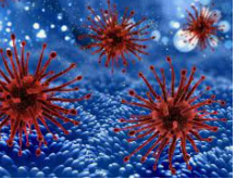 Vida microbiana en el espacio