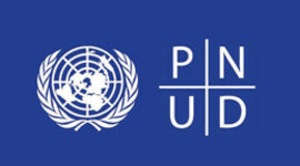 Timeline: Informes de Desarrollo Humano del Programa de las Naciones Unidad para el Desarrollo PNUD desde 1990 hasta 2020(María Camila Parada Velandia-Nicolás Leonardo Rangel Sandoval)