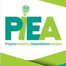 Creación programa internacional E.A. PIEA “Programa Internacional de Educación Ambiental”.