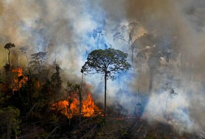 Novo define a la Educación Ambiental.