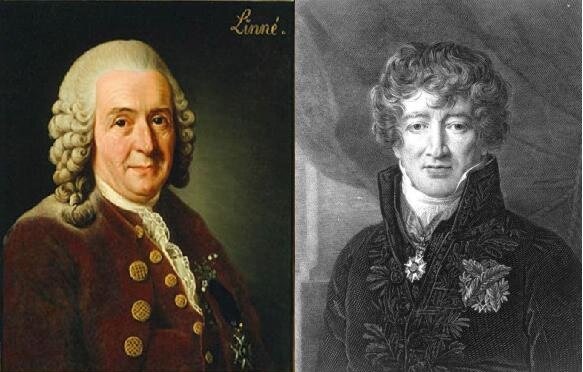 TEORÍA CREACIONISTA Y FIJISTA