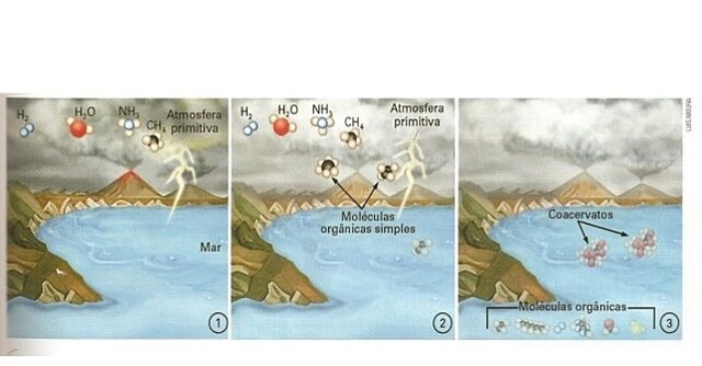 EVOLUCIÓN PREBIÓTICA
