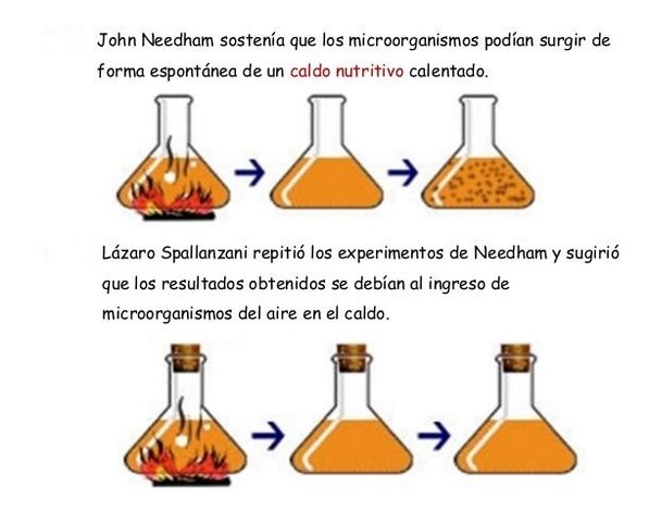 EXPERIMENTO DE SPALLANZANI