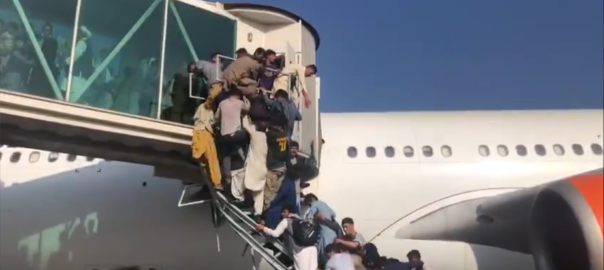 Afgnesos desesperats per sortir del pais