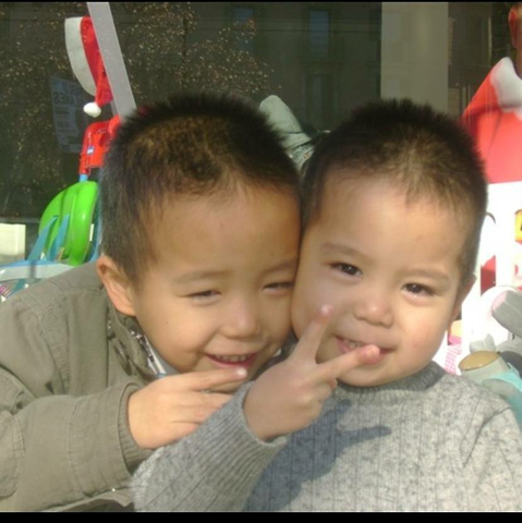 Vaig veure el meu germar